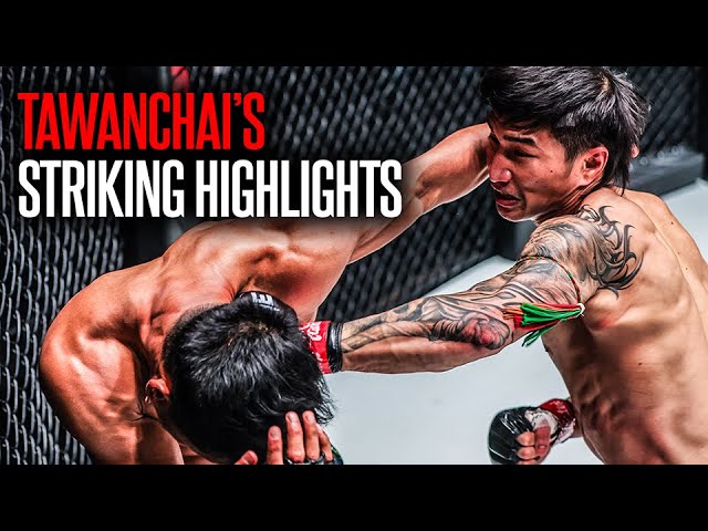 Why Tawanchai Is A Striking MONSTER